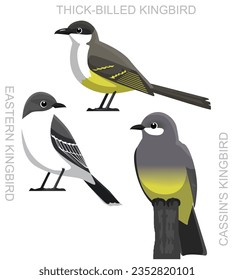 Cute Bird Eastern Kingbird Set Cartoon Vector
