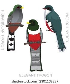 Cute Bird Elegant Trogon Set Cartoon Vector