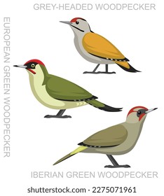 Cute Bird European Green Woodpecker Set Cartoon Vector