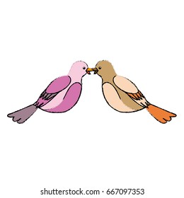cute bird exotic beak feather adorable icon