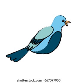 cute bird exotic beak feather adorable icon