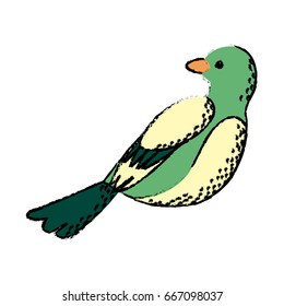 cute bird exotic beak feather adorable icon