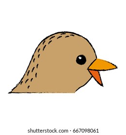 cute bird exotic beak feather adorable icon