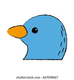 cute bird exotic beak feather adorable icon
