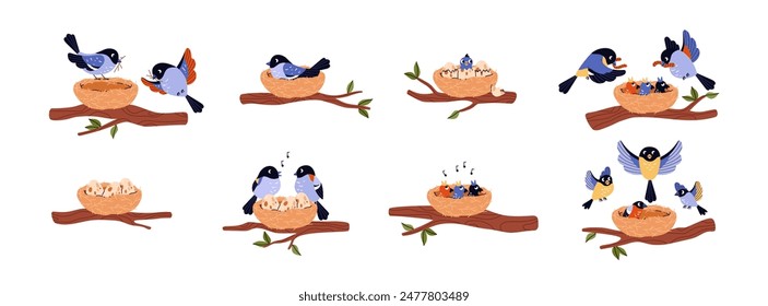 Cute bird family home vector flat illustrations set. Couple of blue birds hatches eggs and singing in the nest on tree branch. Cares for offspring, feeds and protects. Cartoon nature wildlife nestling