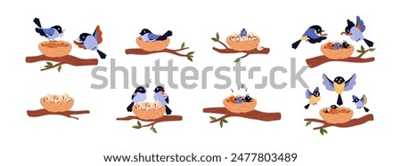 Cute bird family home vector flat illustrations set. Couple of blue birds hatches eggs and singing in the nest on tree branch. Cares for offspring, feeds and protects. Cartoon nature wildlife nestling