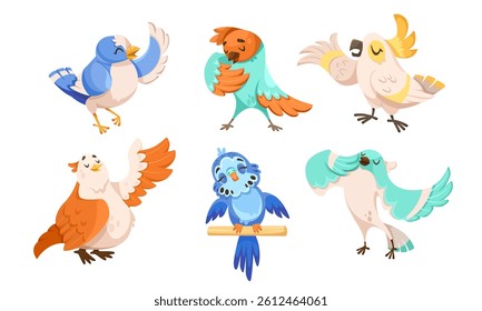 Cute Bird with Feathers Singing Song Vector Set