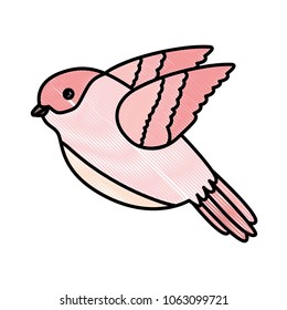 cute bird flying with beautiful plumage