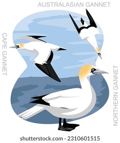 Cute Bird Gannet Set Cartoon Vector
