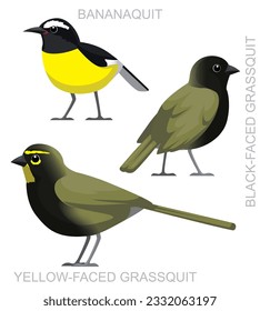 Cute Bird Grassquit Bananaquit Set Cartoon Vector