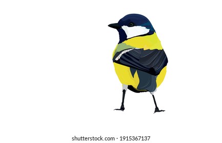 Cute bird. Great tit. Vector image. 