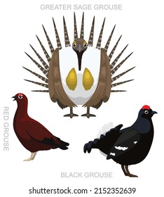 Vector de dibujos animados de juego de grupos de aves
