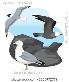 Cute Bird Gull Seagull California Set Cartoon Vektor