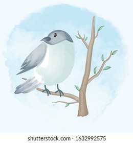 Cute bird hand drawn animal illustration watercolor background
