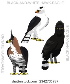 Cute Bird Hawk-Eagle Set Cartoon Vector
