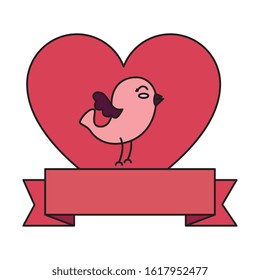 cute bird with heart and ribbon vector illustration design