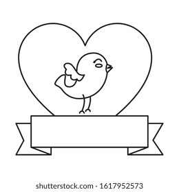 cute bird with heart and ribbon vector illustration design