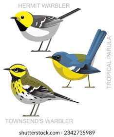 Cute Bird Hermit Warbler Tropical Parula Set Cartoon Vector
