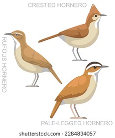 Cute Bird Hornero Set Cartoon Vector