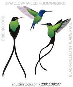 Cute Bird Hummingbird Doctor Set Cartoon Vector