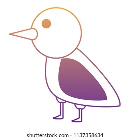 cute bird icon
