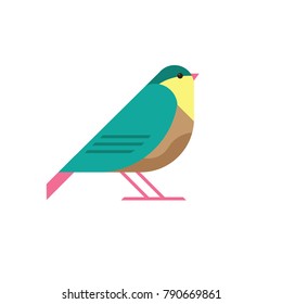 cute bird illustration