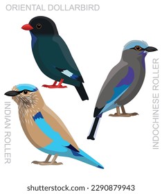 Cute Bird Indian Roller Set Cartoon Vector