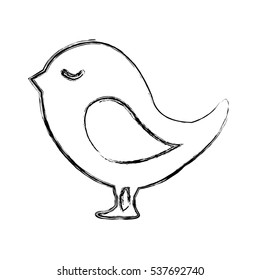 cute bird isolated icon vector illustration design