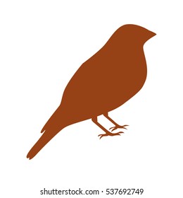 cute bird isolated icon vector illustration design