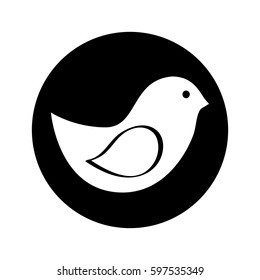 cute bird isolated icon vector illustration design
