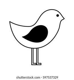 cute bird isolated icon vector illustration design