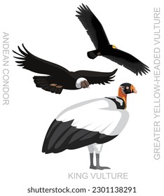 Cute Bird King Vulture Condor Andino Set Vector De Caricaturas