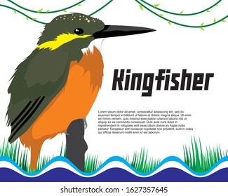 Cute Bird Kingfisher. Colorful bird. Vector Image. With grass and wave background