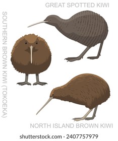 Cute Bird Kiwi Set Cartoon Vector