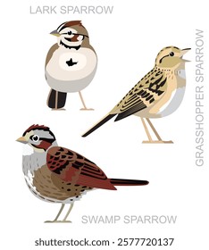 Cute Bird Lark Sparrow Grasshopper North American Set Cartoon Vector