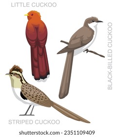 Cute Bird Little Striped Cuckoo Set Cartoon Vector
