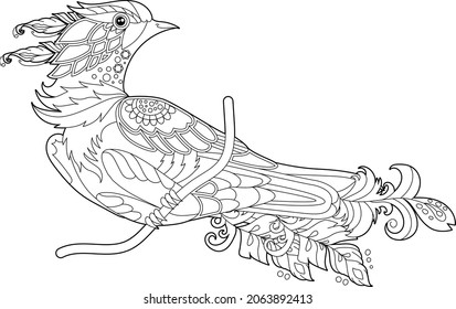 Geruchter Vogel mit langem Schwanz. Doodle-Stil, schwarz-weißer Hintergrund. Funny Vogel, farbige Buchseiten. Handgezeichnete Illustration im zentangle-Stil für Kinder und Erwachsene, Tattoo.