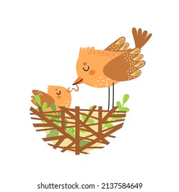 Cute bird mom feed her baby. Happy bird brought the worm to the chick in the nest. Bird family, mother day concept. Cartoon character, hand drawn vector illustration isolated on white. Flat design