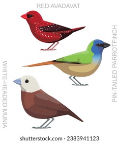 Cute Bird Munia Avadavat Parrotfinch Set Cartoon Vector