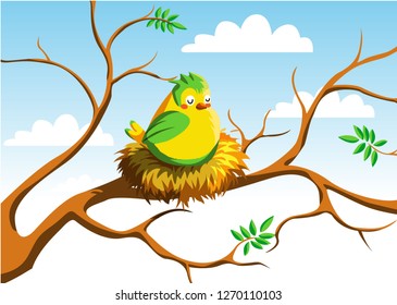 cute bird in nest. This bird in nest vector could be used for spring or for an animal project. on vector illustration eps.10