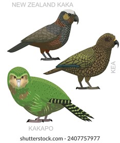 Cute Bird New Zealand Parrots Kaka Set Cartoon Vector