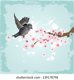 Cute bird on a background of cherry blossoms