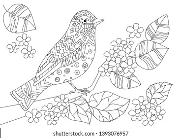 cute bird on blossom branch for your coloring book