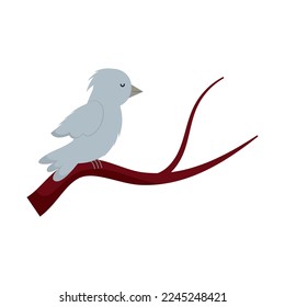 pájaro lindo en diseño aislado de bifurcación