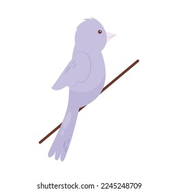 cute bird on branch isolated design