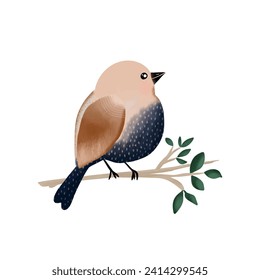 Cute bird on a branch isolated on white background
