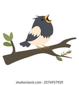 Cute bird on a branch isolated on white background. Vector illustration.