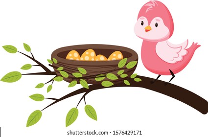 Cute bird on a branch near the nest with eggs. Spring greeting card in cartoon style. Template for greeting card, print for clothes, for newborns. Isolated on white background.