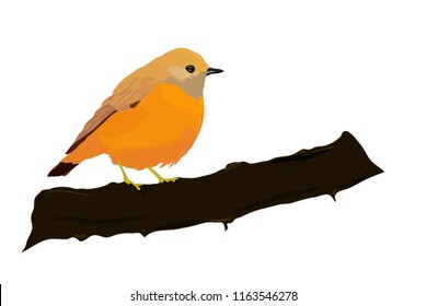 Cute bird. Bird on a branch. Vector image. White background.