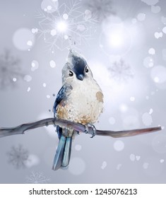 Cute bird on a branch watercolor Vector. Winter snowy beautiful backgrounds